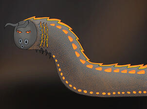 A picture of a worm thing